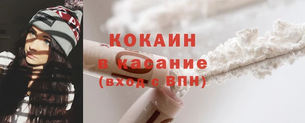 ПСИЛОЦИБИНОВЫЕ ГРИБЫ Абаза