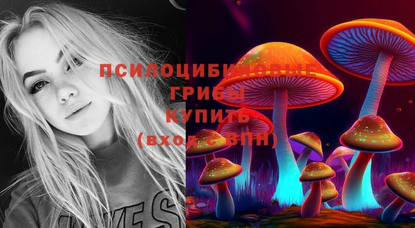 ПСИЛОЦИБИНОВЫЕ ГРИБЫ Абаза