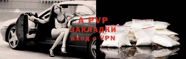 ПСИЛОЦИБИНОВЫЕ ГРИБЫ Абаза