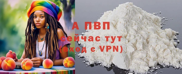 ПСИЛОЦИБИНОВЫЕ ГРИБЫ Абаза